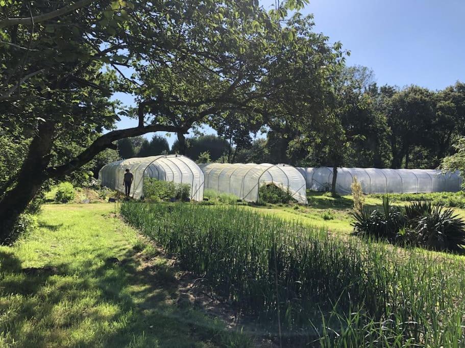 La Terre Ferme - Au Coeur D'Une Ferme Maraichere Saint-Lunaire Extérieur photo